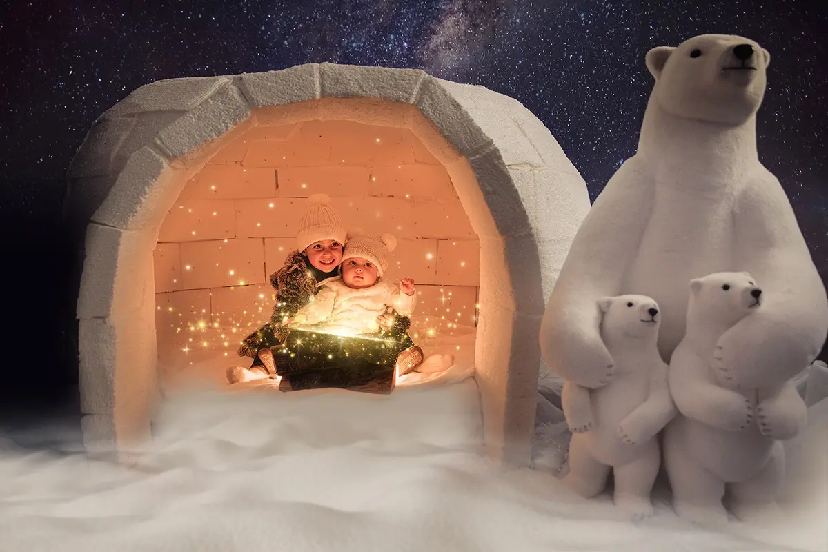 Igloo photo noel